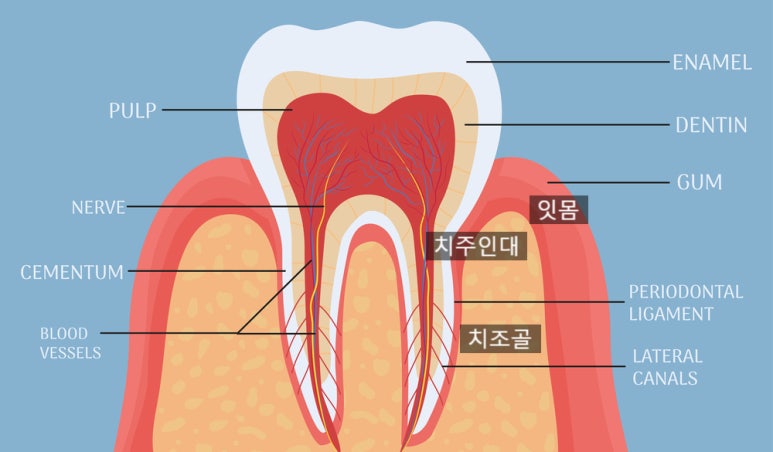 Prevention and Management of Periodontal Disease for Healthy Gums image 1
