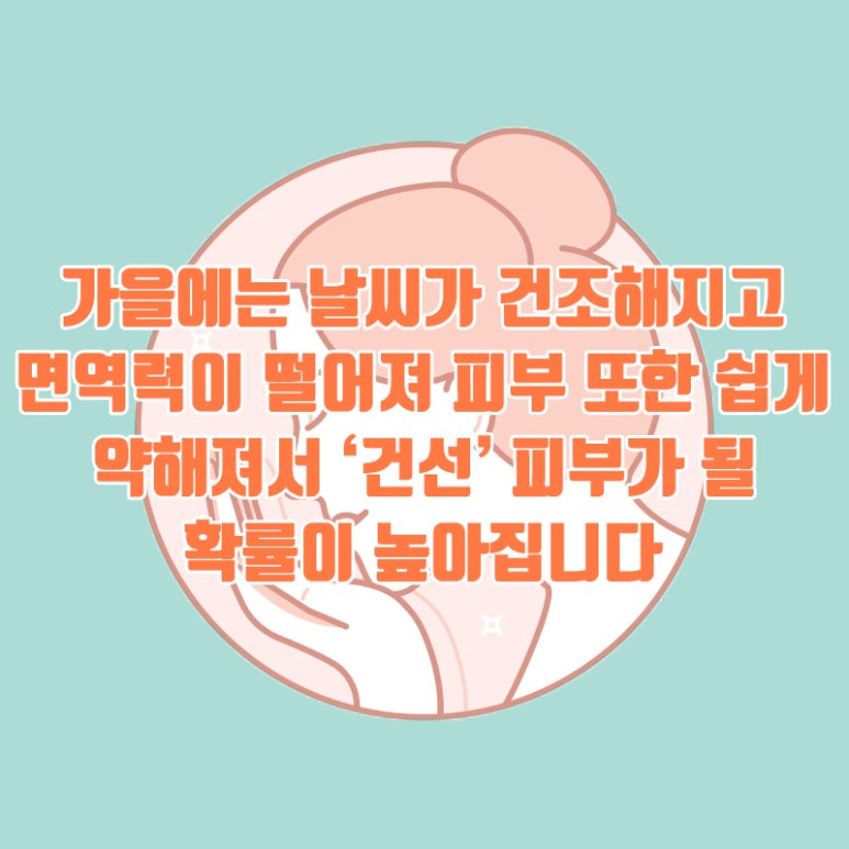 가을철 건조해지는 피부 잘못 건드리면 피부에는 독 관련 이미지 2