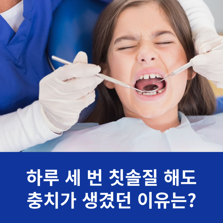 하루 세 번 칫솔질 해도 충치가 생겼던 이유는? 관련 이미지 10