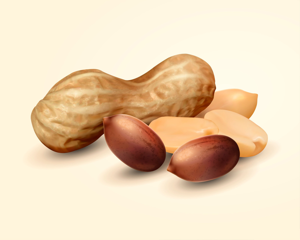 What Foods Are Good for Bone Health? image 5