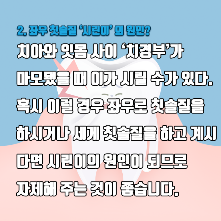 Seokplant Health Information - [Let’s Learn Basic Dental Health Facts] image 5