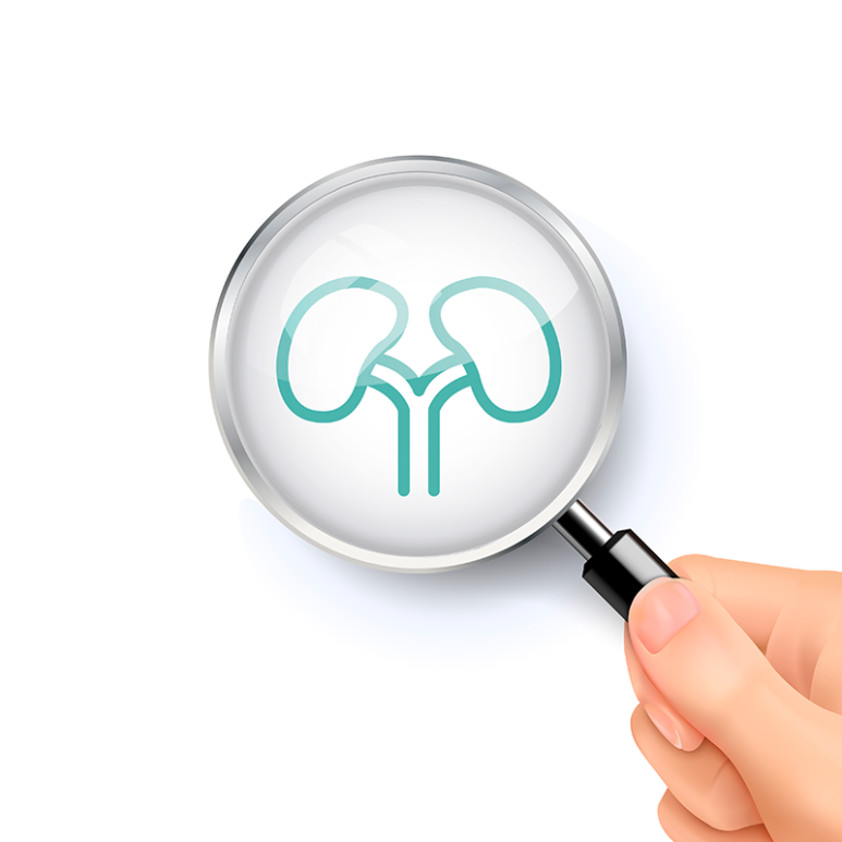 [Seokplant Health Info] 3 Bad Habits That Damage Your Kidneys image 3