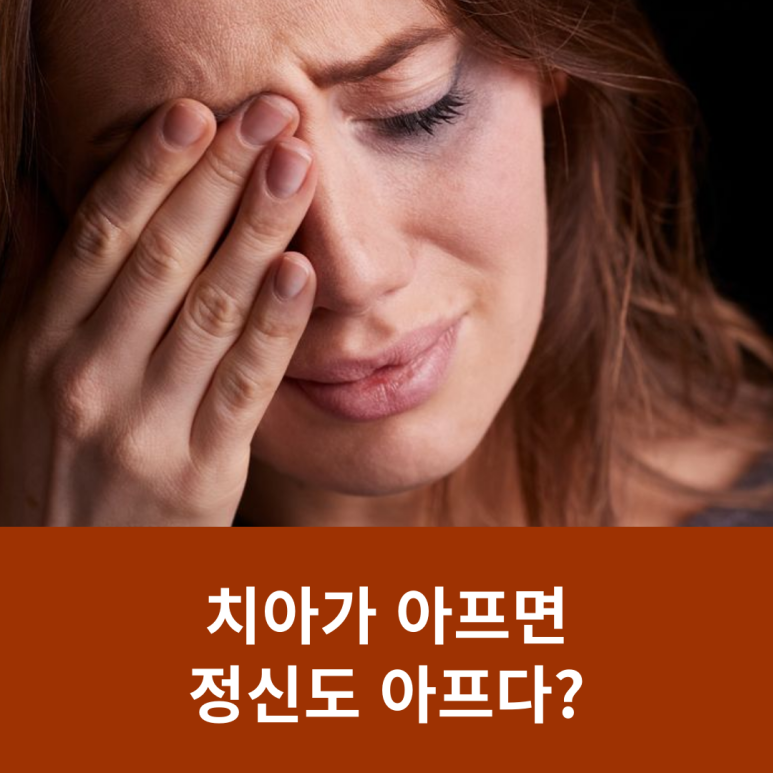 치아가 아프면 정신도 아프다? 관련 이미지 8