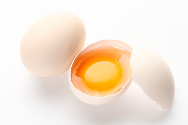 [A Piece on Why Food Poisoning Is Said to Be Common in Early Summer!!] image 2