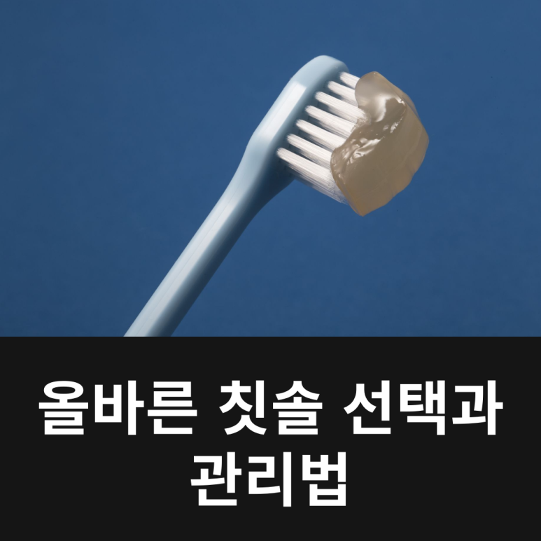 올바른 칫솔 선택과 관리법 관련 이미지 12