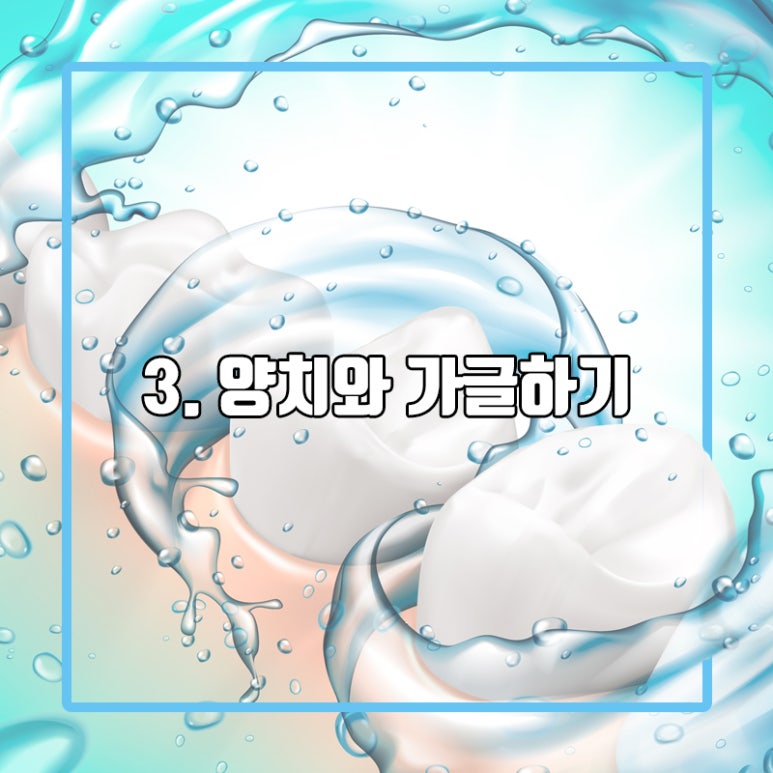 Seok Plant and image 5