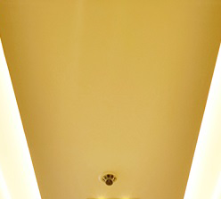 Is the risk of ‘dementia’ 2.7 times higher if you leave missing teeth untreated? image 14