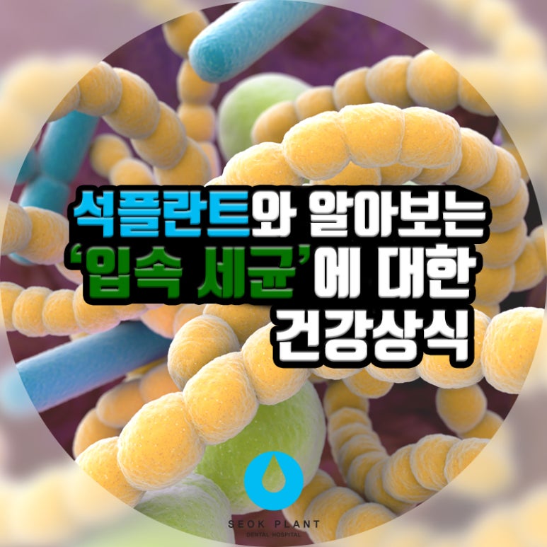 Understanding with Seokplant image 1