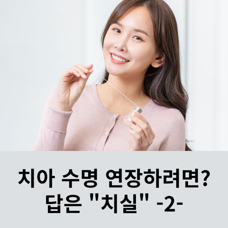 치아 수명 연장하려면? 답은 "치실" -2- 관련 이미지 8