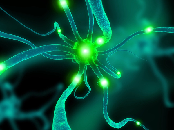 [Heart, Bones, Brain: Do They Get Healthier the More You Use Them?] image 8