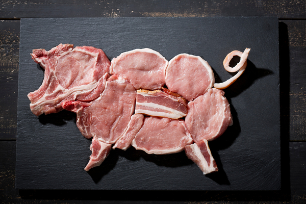 [A Piece on Why Food Poisoning Is Said to Be Common in Early Summer!!] image 7