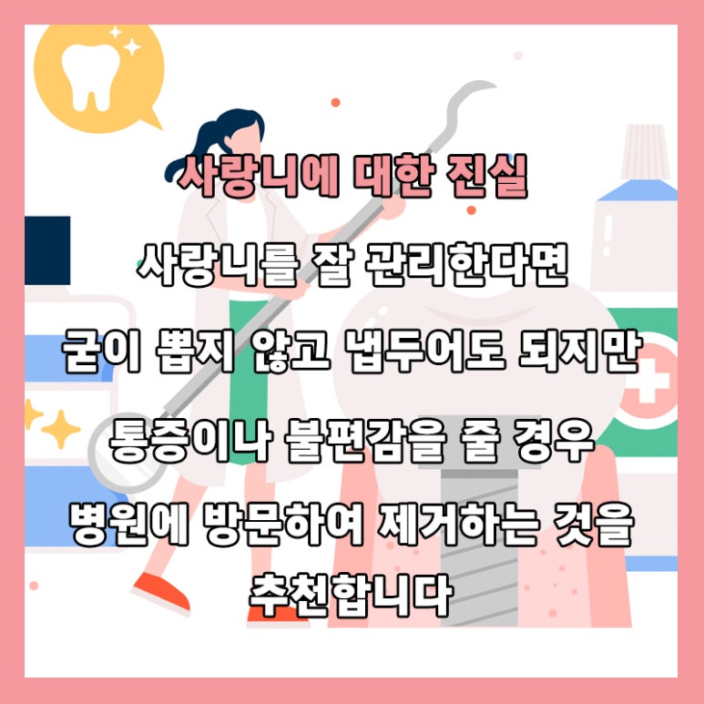 Dental Health Project with Seokplant - Is It Love, or a Wisdom Tooth? - image 8