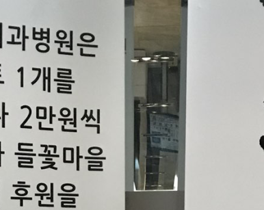 임플란트, 평생 사용할 수 있을까? 관련 이미지 15