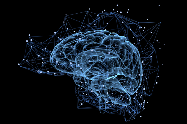 [Heart, Bones, Brain: Do They Get Healthier the More You Use Them?] image 7