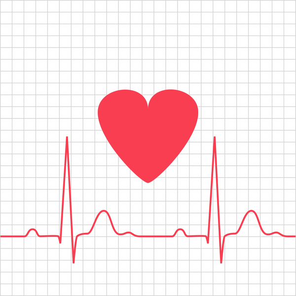 [Heart, Bones, Brain: Do They Get Healthier the More You Use Them?] image 5
