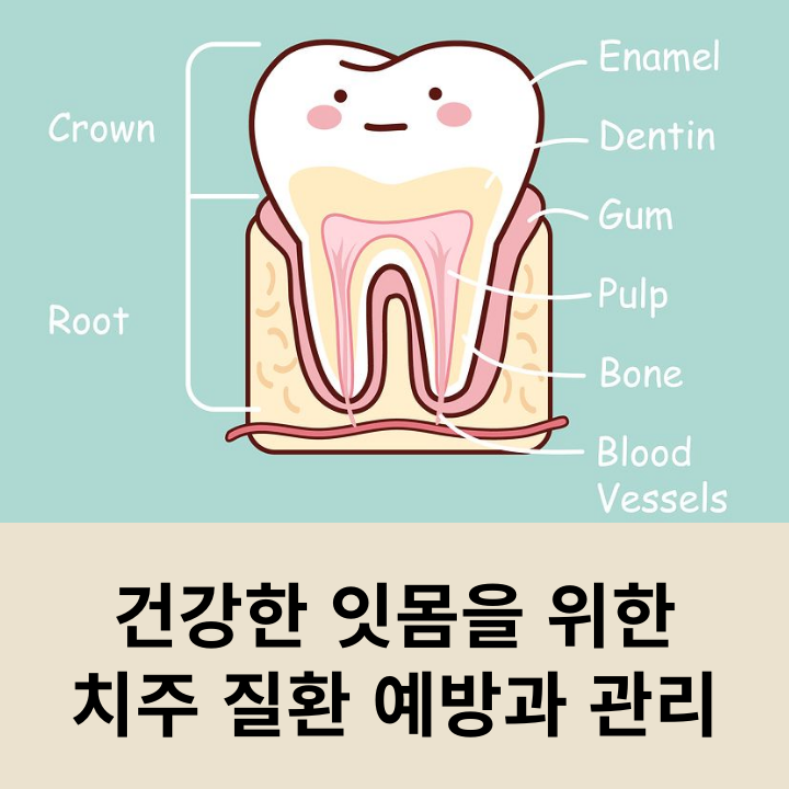 Prevention and Management of Periodontal Disease for Healthy Gums image 6