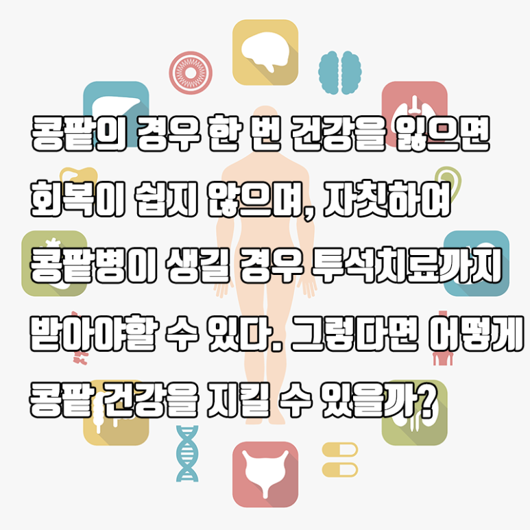 [Seokplant Health Info] 3 Bad Habits That Damage Your Kidneys image 2