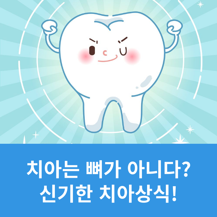 치아는 뼈가 아니다? 신기한 치아 상식! 관련 이미지 5