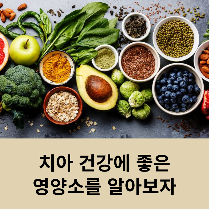Let’s Learn About Nutrients That Are Good for Dental Health image 7