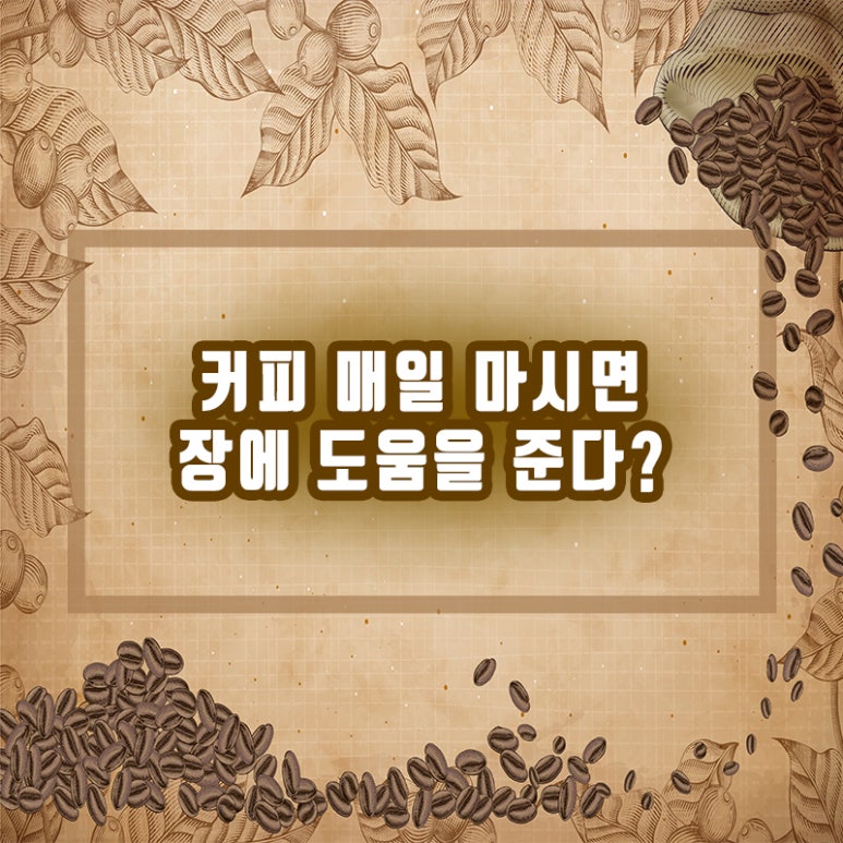 [Seokplant and Health Tips] Does Drinking Coffee Every Day Help Your Gut? image 1