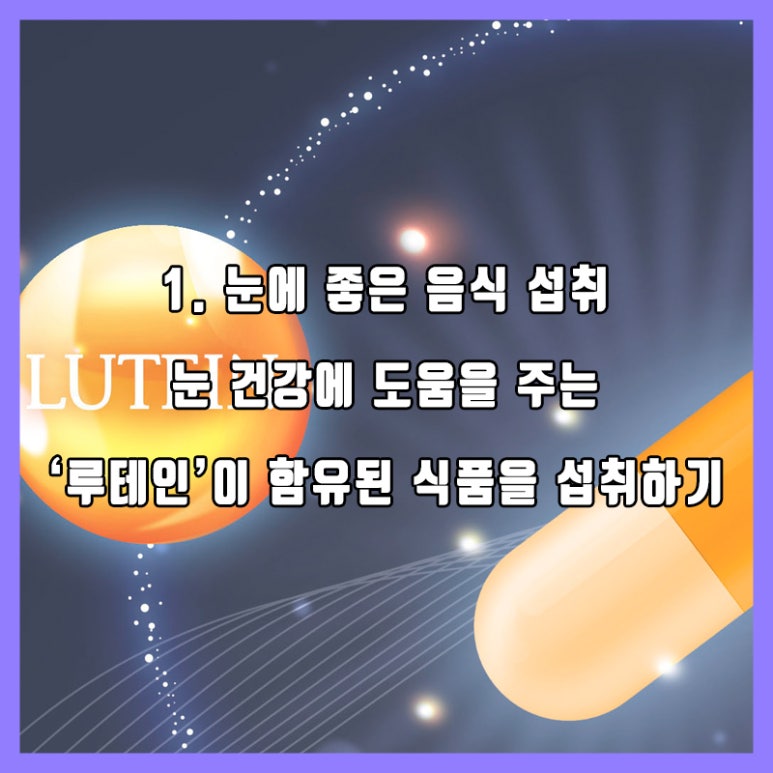 [With Seokplant and Health Tips] Autumn Season image 3