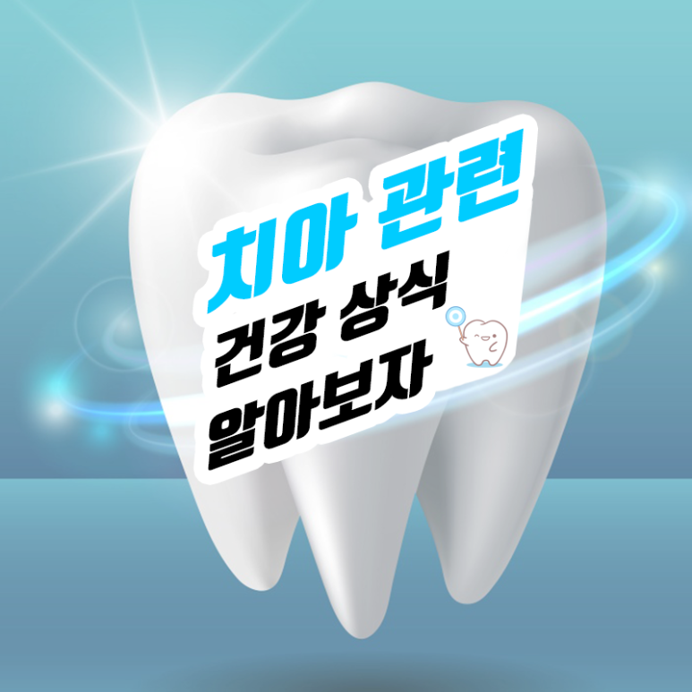 Seokplant Health Information - [Let’s Learn Basic Dental Health Facts] image 1