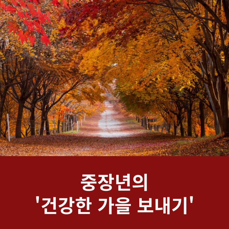 중장년의 관련 이미지 15
