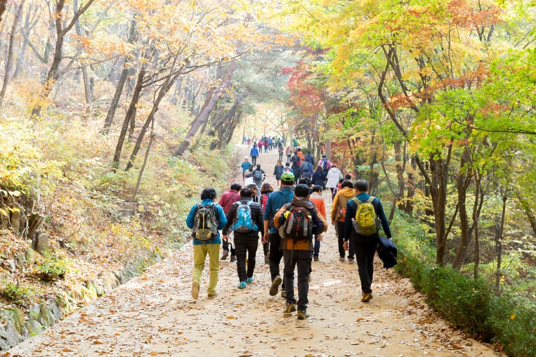 가을철 등산 시 주의해야 할 네 가지! 관련 이미지 3