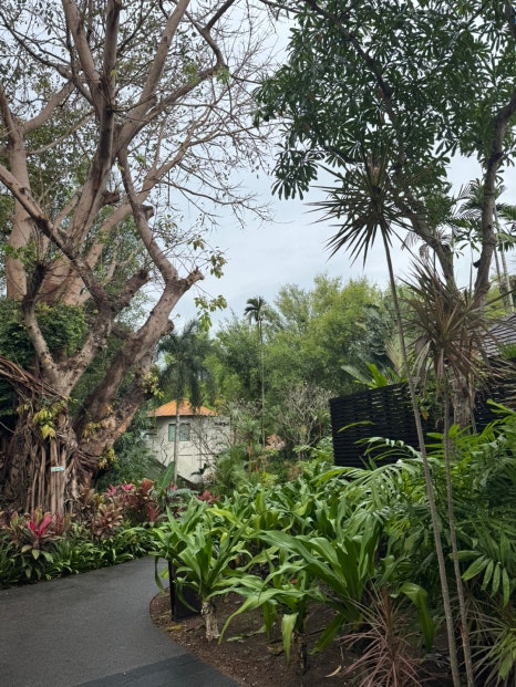 파타야 리조트 추천 씨 샌드 썬 리조트호텔 관련 이미지 19