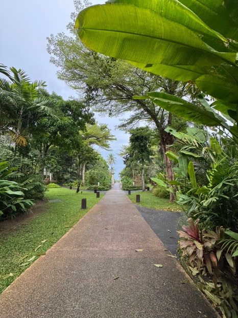 파타야 리조트 추천 씨 샌드 썬 리조트호텔 관련 이미지 6