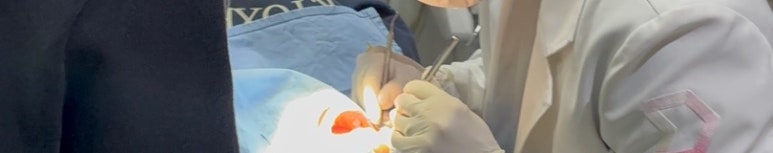 치은퇴축, 의사가 직접 알려드리는 2가지 진실 관련 이미지 12