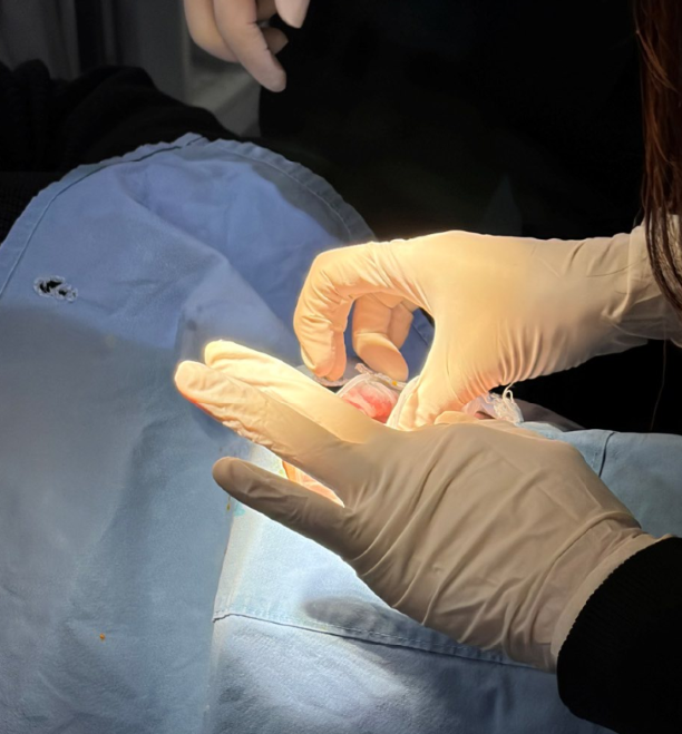 역삼역치과잘하는곳, 후기만 보고 가면 안 되는 이유 의사 작성 관련 이미지 3