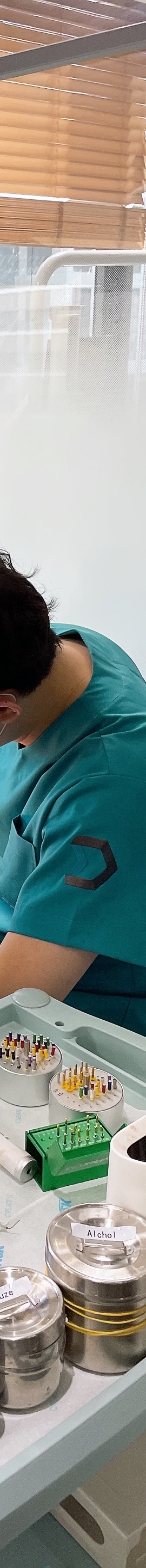 강남 임산부 치과치료, 언제부터 받아야할까요? 관련 이미지 11