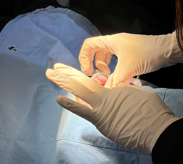 학동역 라미네이트 치과, 치아 깎는 양이 다릅니다. 이걸 꼭 확인하세요 관련 이미지 5