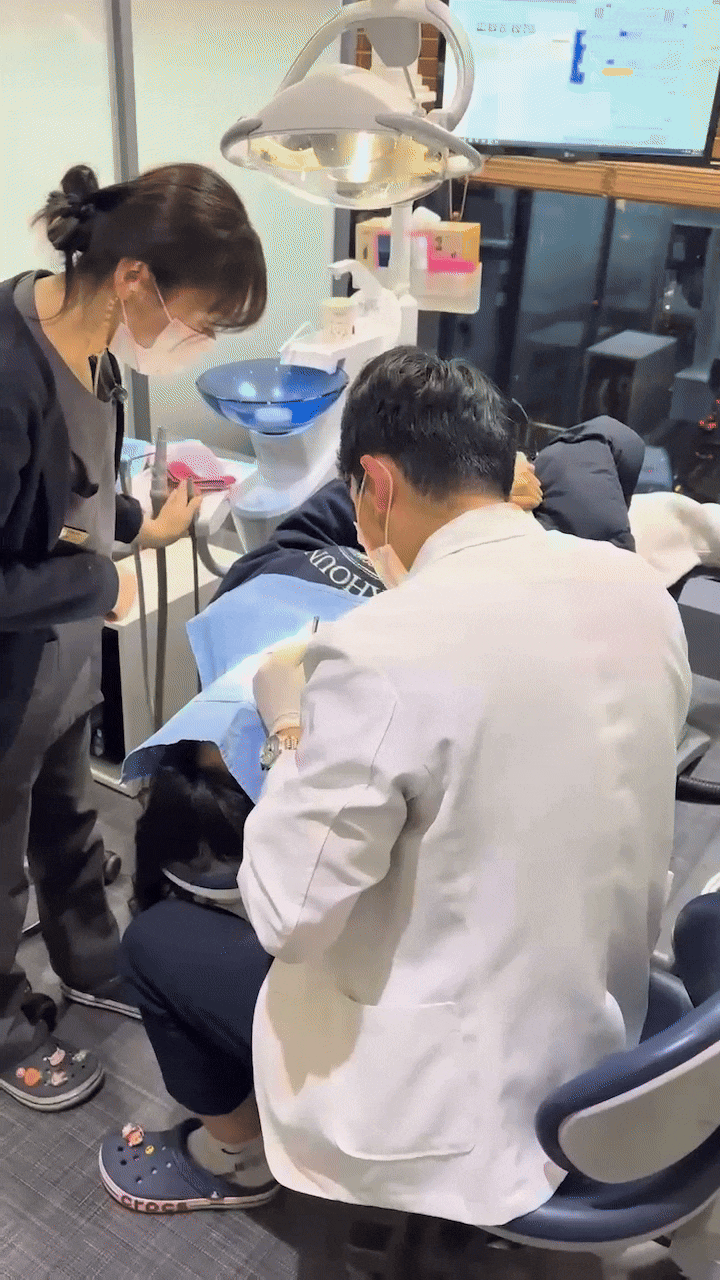 각화치은, 잇몸 건강의 핵심은 이것에 달려있습니다 관련 이미지 6