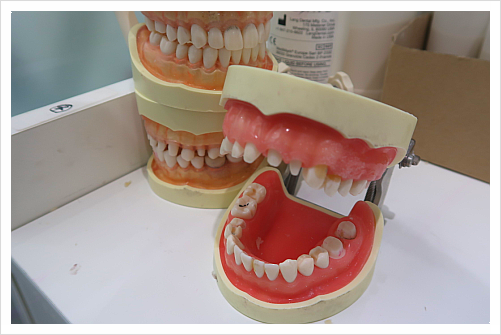 덴티움 임플란트? 제품, 특징까지 치과의사가 설명드립니다 관련 이미지 1