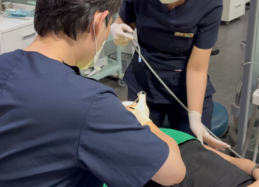 언주역치과추천 라미네이트, 자연치아 삭제량이 중요합니다 관련 이미지 2