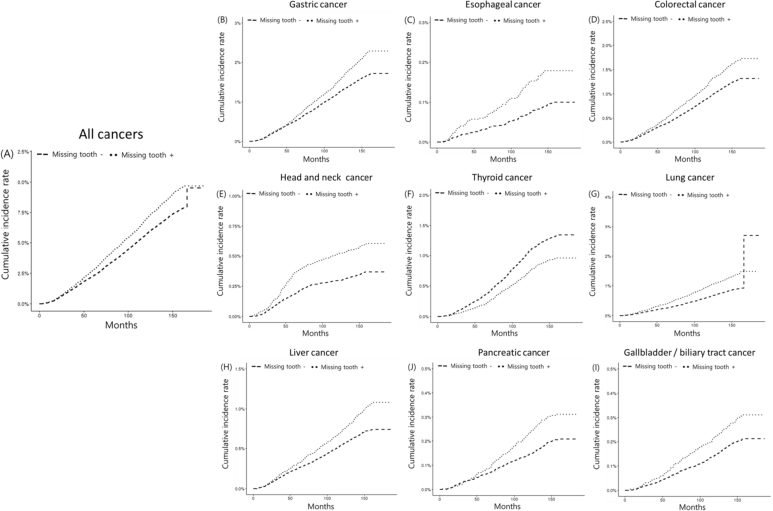 치아결손 시 암 위험 증가? 구강내 염증의 엄청난 나비효과 관련 이미지 3