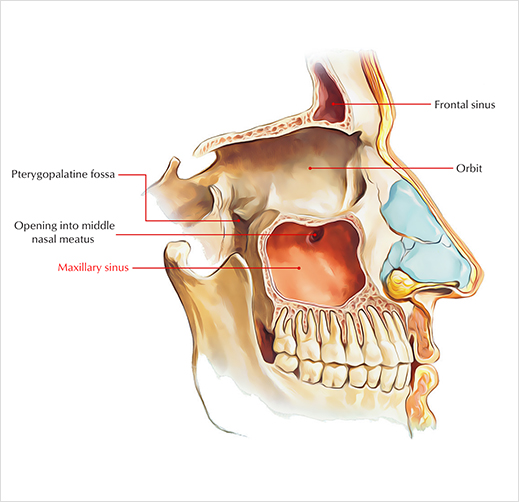 임플란트부작용 걱정? 이 글 보시면 걱정 안하셔도 됩니다. 관련 이미지 2