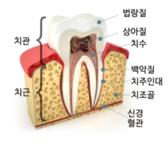 치과 치아미백, 돈 날리고 싶지 않다면? 관련 이미지 1