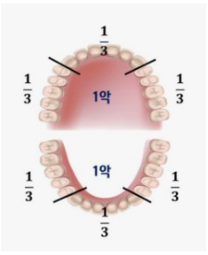 역삼동 잇몸치료 원인부터 치료비용까지, 이 글 하나로 종결 관련 이미지 2