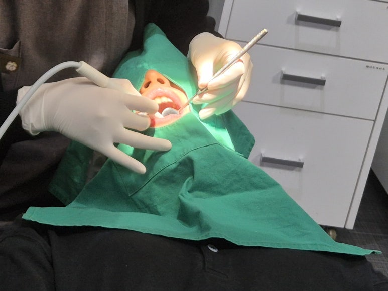 각화치은, 잇몸 건강의 핵심은 이것에 달려있습니다 관련 이미지 5