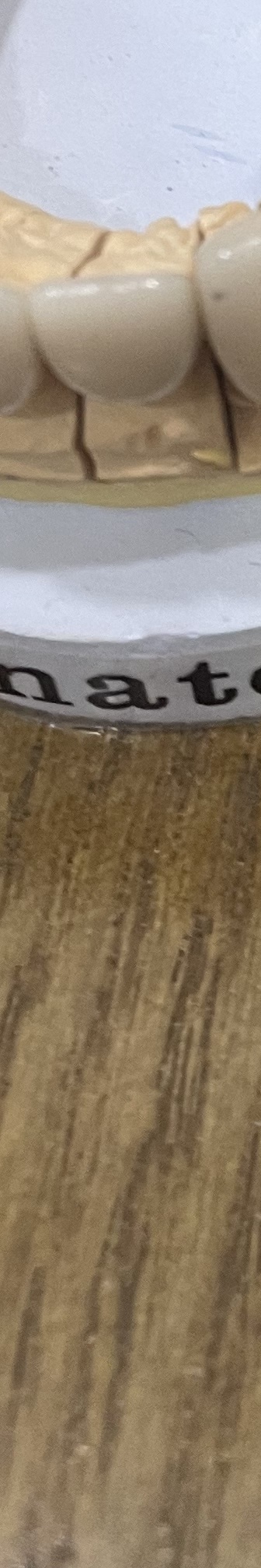 매봉역 치과, 자연치아 잃고 싶지 않다면? 관련 이미지 17