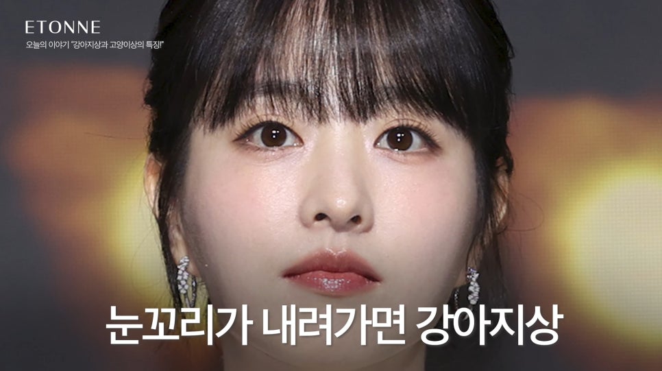 [에톤TV] 고양이상 vs 강아지상, 내 눈매는 어떤 동물상일까? 관련 이미지 3