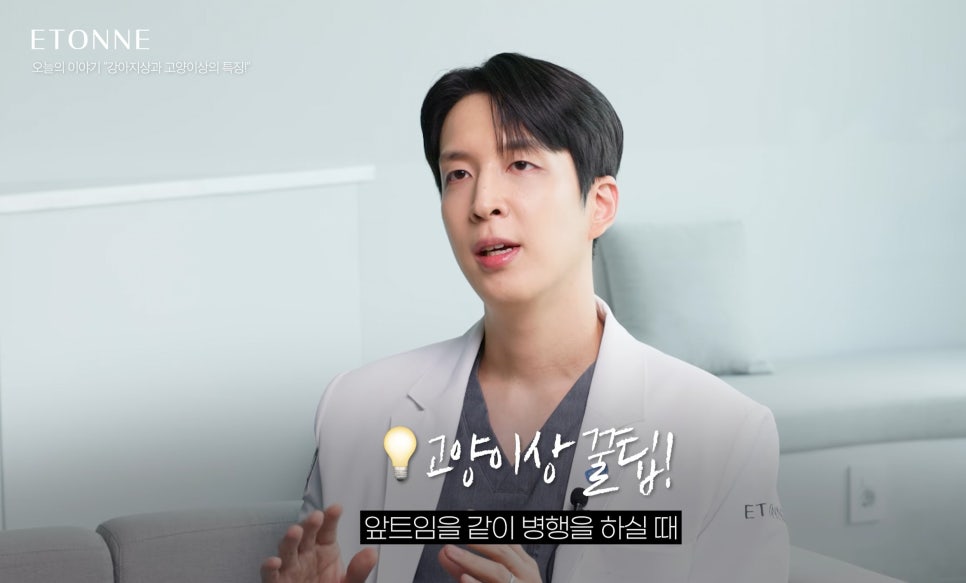 [에톤TV] 고양이상 vs 강아지상, 내 눈매는 어떤 동물상일까? 관련 이미지 6