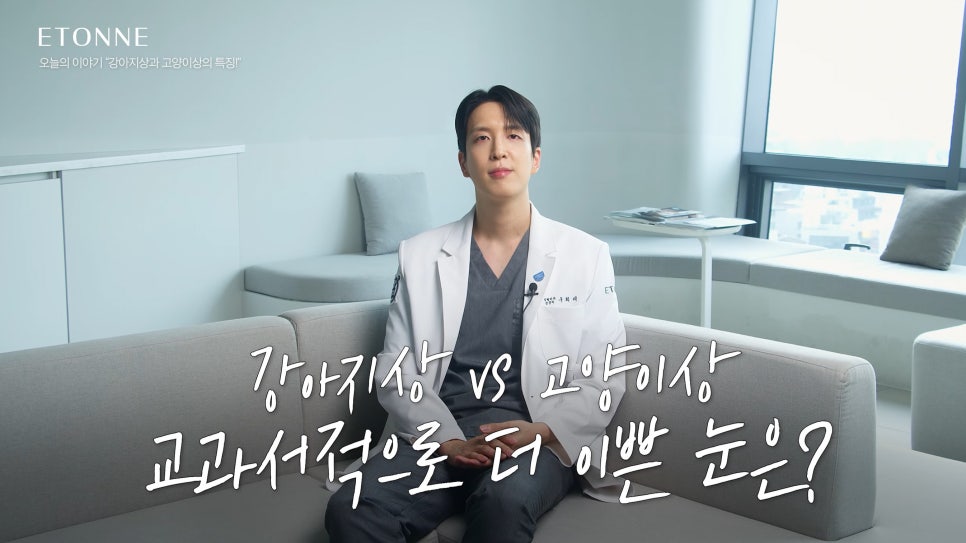 [에톤TV] 고양이상 vs 강아지상, 내 눈매는 어떤 동물상일까? 관련 이미지 4