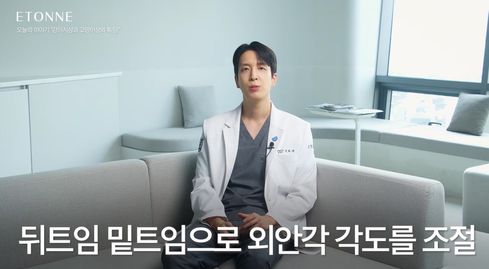 [에톤TV] 고양이상 vs 강아지상, 내 눈매는 어떤 동물상일까? 관련 이미지 5