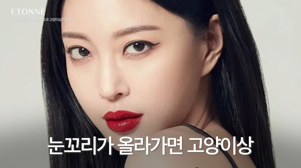 [에톤TV] 고양이상 vs 강아지상, 내 눈매는 어떤 동물상일까? 관련 이미지 2