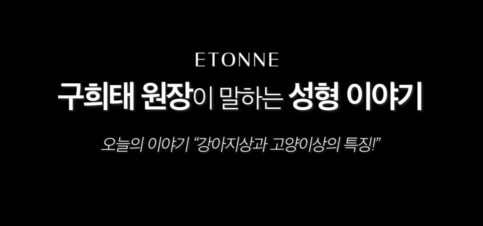 [에톤TV] 고양이상 vs 강아지상, 내 눈매는 어떤 동물상일까? 관련 이미지 1
