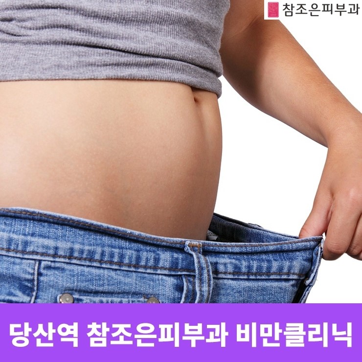 영등포 당산역/양평동 지방분해주사 참조은피부과 그 효과는? 관련 이미지 1